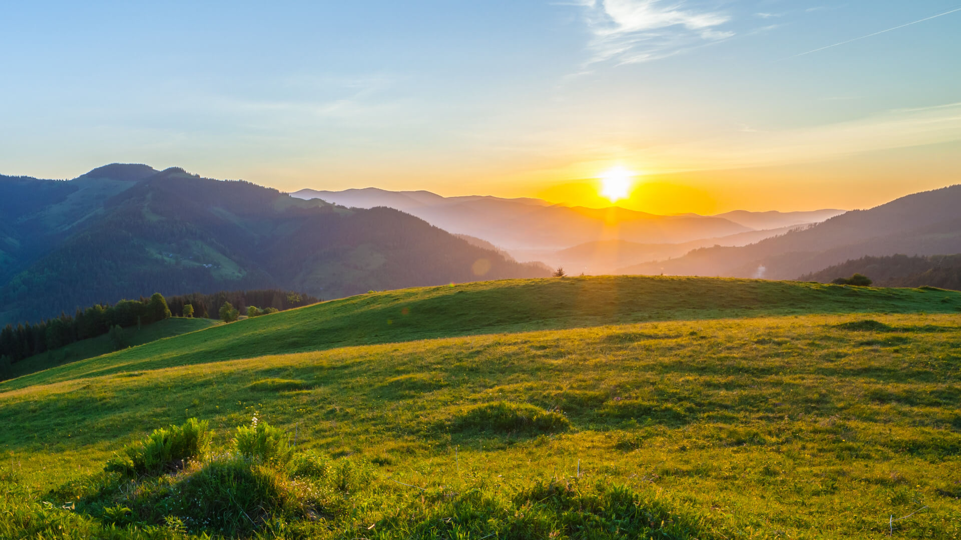 Prowadzi nas odpowiedzialność