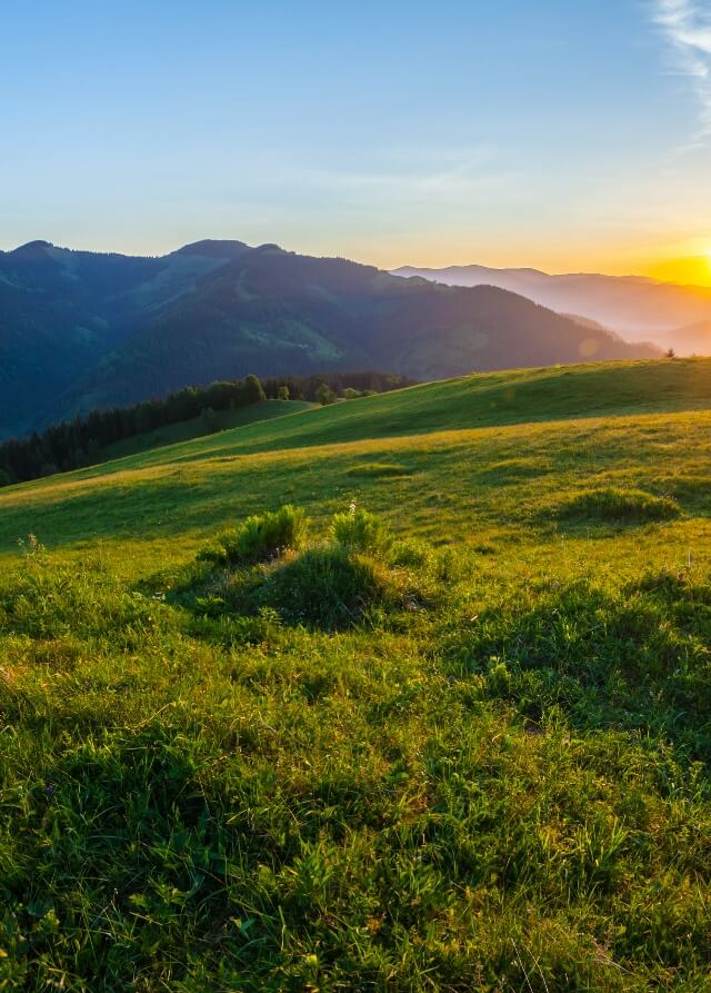 Prowadzi nas odpowiedzialność